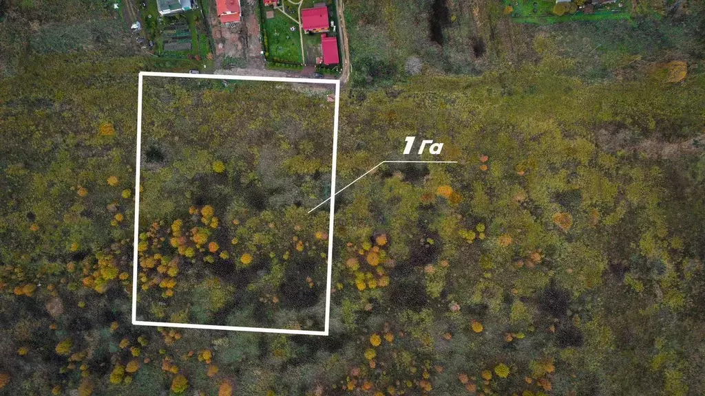 Участок в Ленинградская область, Ломоносовский район, Лопухинское ... - Фото 1