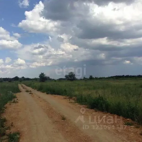 Участок в Ростовская область, Аксайский район, Ольгинская ст-ца ... - Фото 1