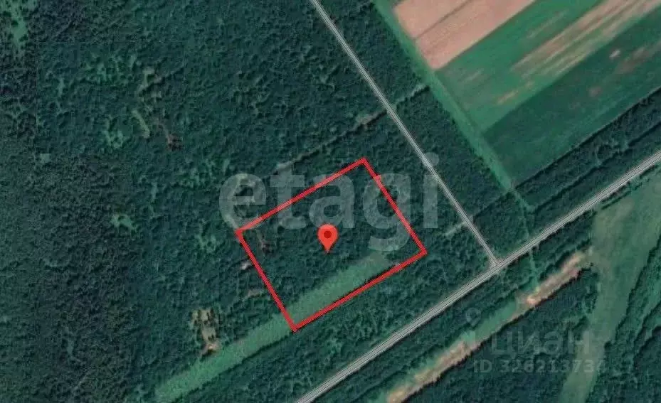 Участок в Камчатский край, Елизовский муниципальный округ, пос. Лесной ... - Фото 1