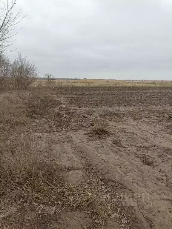 Участок в Ростовская область, Семикаракорский район, Кузнецовка хут. ... - Фото 0