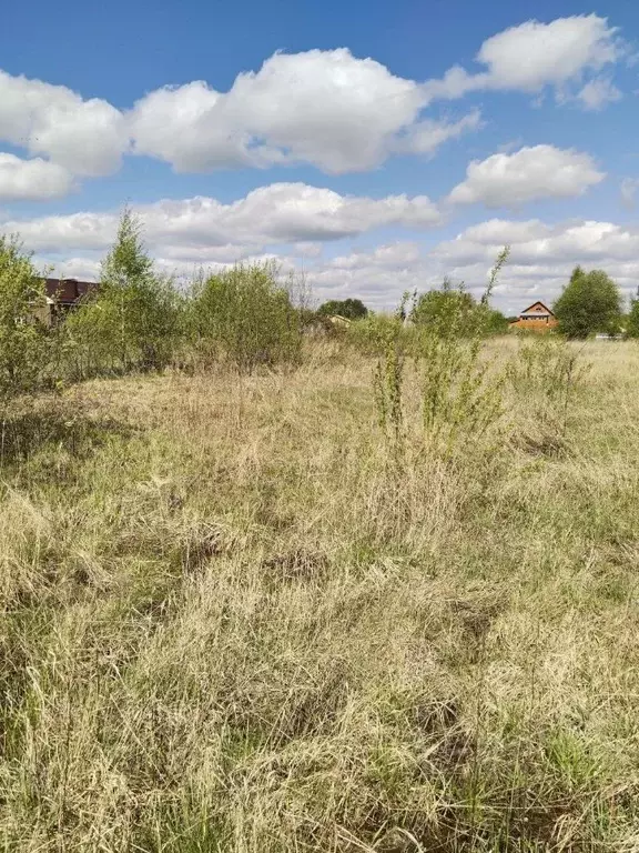 Участок в Московская область, Орехово-Зуевский городской округ, д. ... - Фото 1