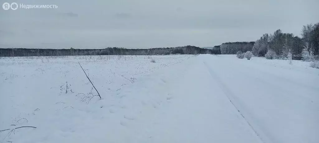 Участок в Мошковский район, Кайлинский сельсовет (6 м) - Фото 2
