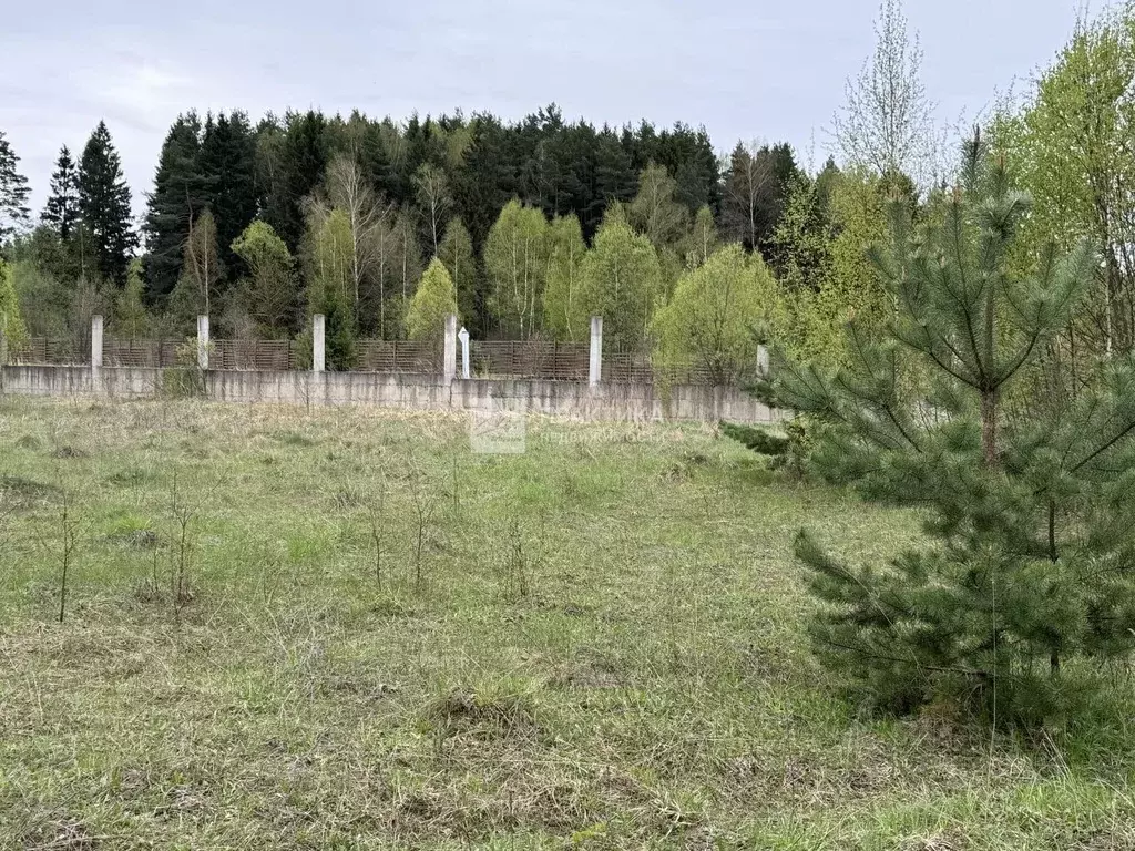 Участок в Московская область, Подольск городской округ, д. Меньшово  ... - Фото 1