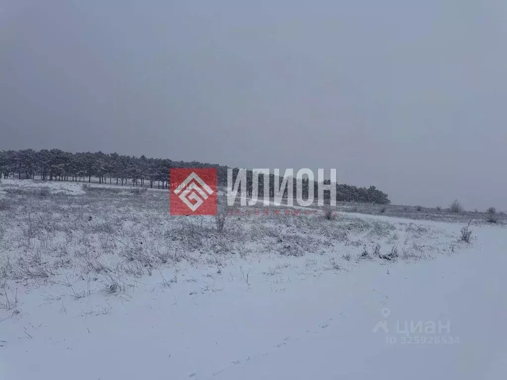 Участок в Крым, Симферопольский район, Мирновское с/пос, с. Белоглинка ... - Фото 2