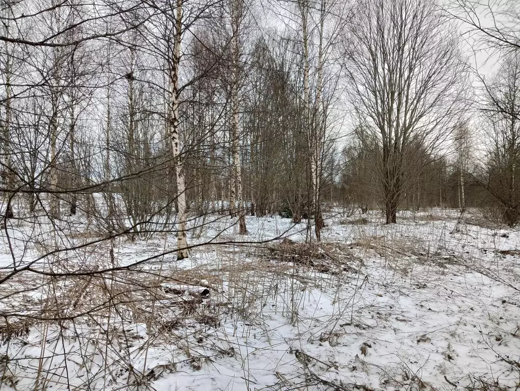 Участок в Московская область, Клин городской округ, д. Аксениха  (8.96 ... - Фото 1