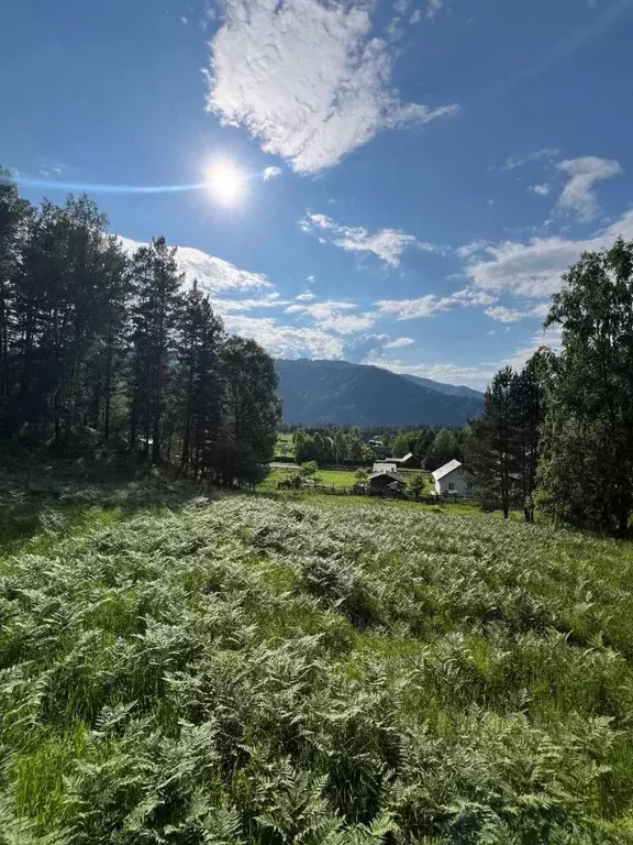 Участок в Алтай, Чемальский район, пос. Усть-Сема  (7.5 сот.) - Фото 2
