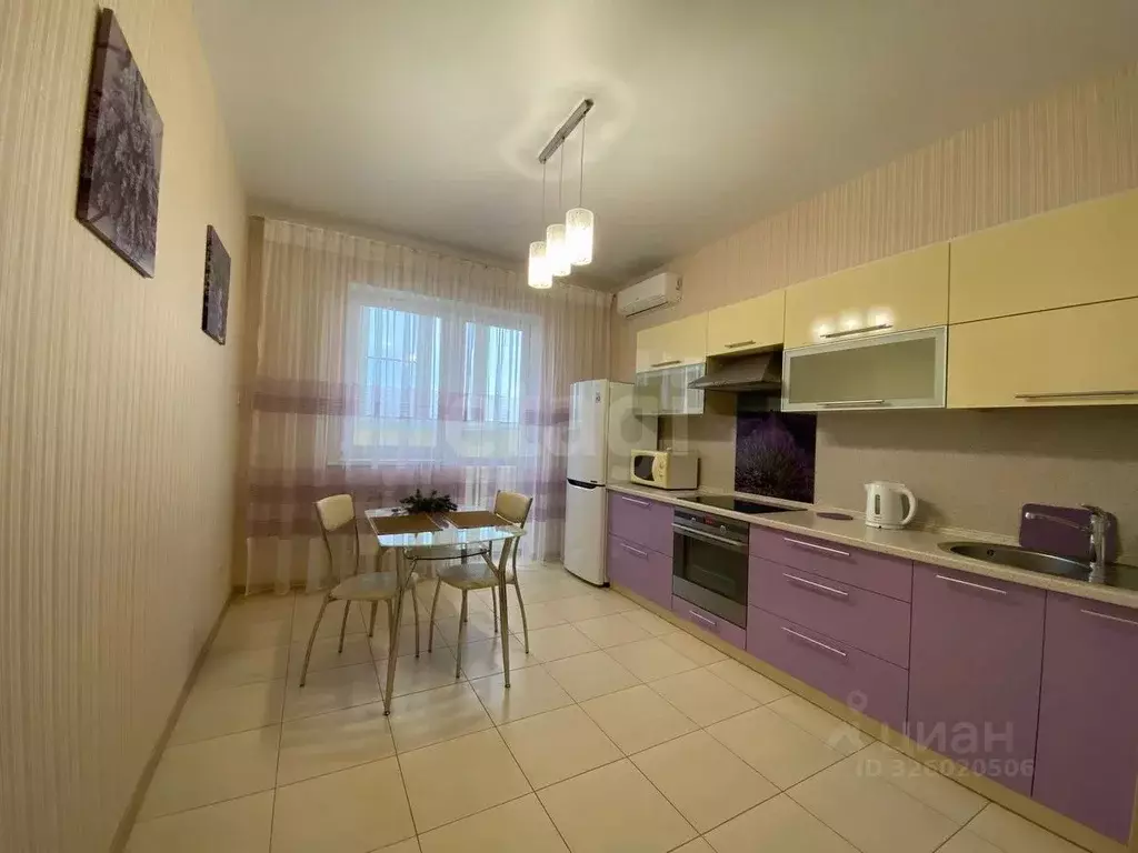 1-к кв. Краснодарский край, Краснодар Центральный мкр, ул. ... - Фото 2