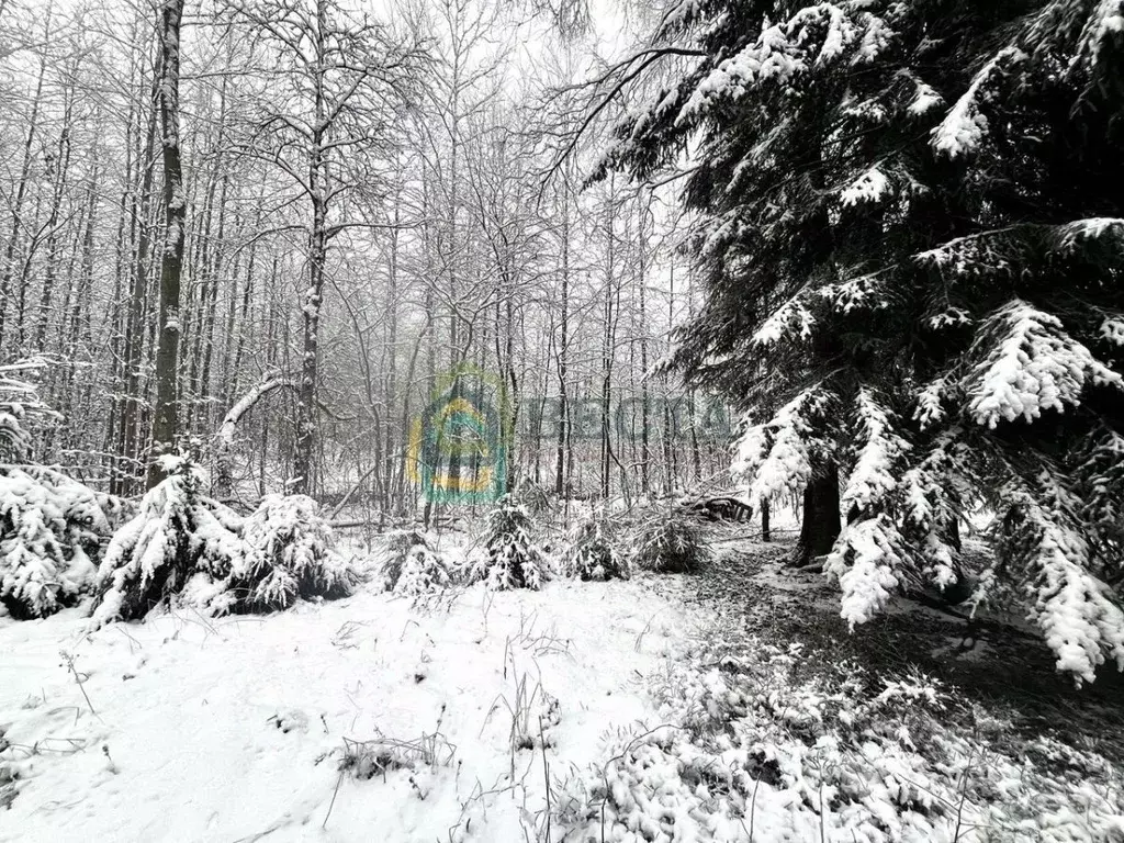 Участок в Ленинградская область, Всеволожский район, Агалатовское ... - Фото 2