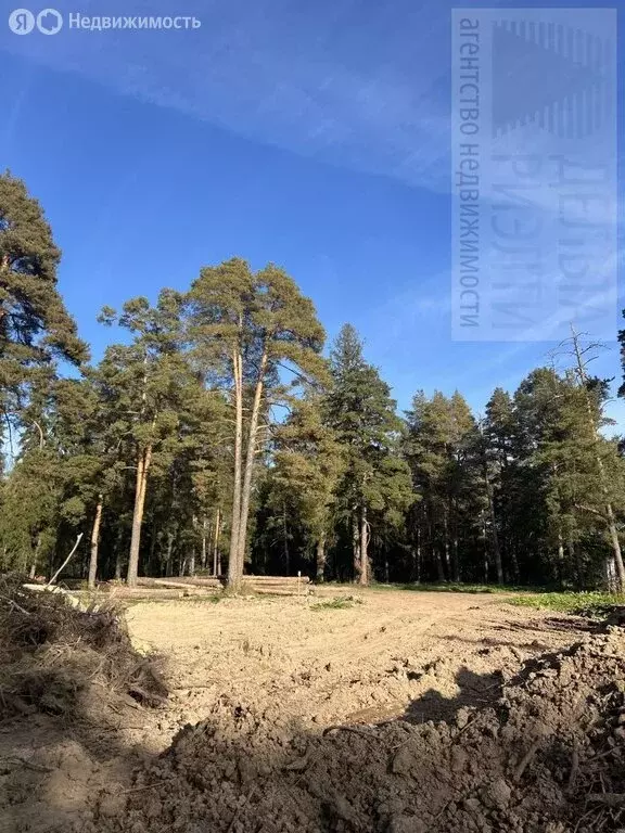 Участок в Куликовское сельское поселение (11 м) - Фото 0
