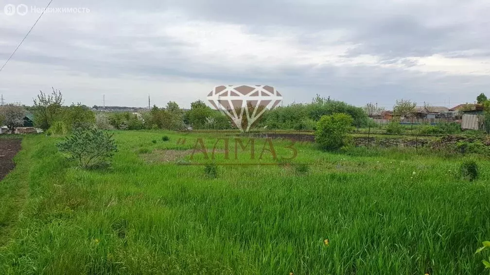 Участок в деревня Казинка, Школьная улица, 31 (10 м) - Фото 0