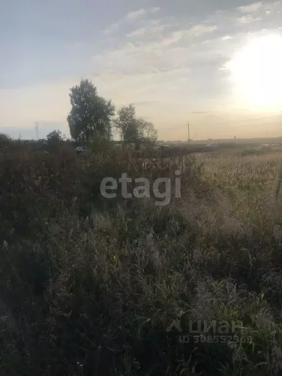 Участок в Брянская область, Брянский район, Глинищевское с/пос, с. ... - Фото 1