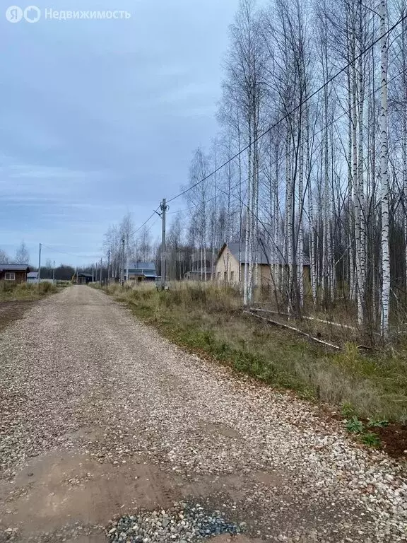 Участок в Залесная, Зимняя улица (10 м) - Фото 2