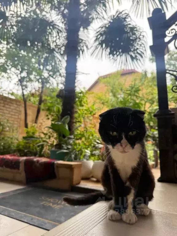 Дом в Дагестан, Дербент ул. Тоннельная, 34 (80 м) - Фото 1