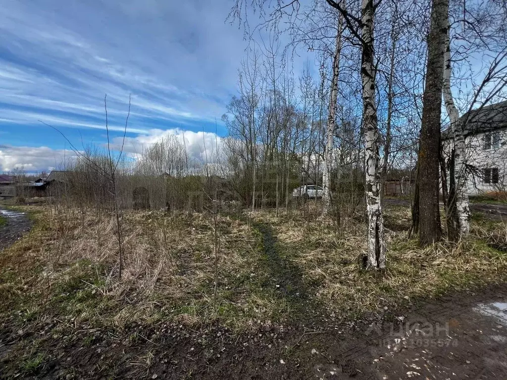 Участок в Новгородская область, Боровичи ул. Салтыкова-Щедрина, 9 ... - Фото 1