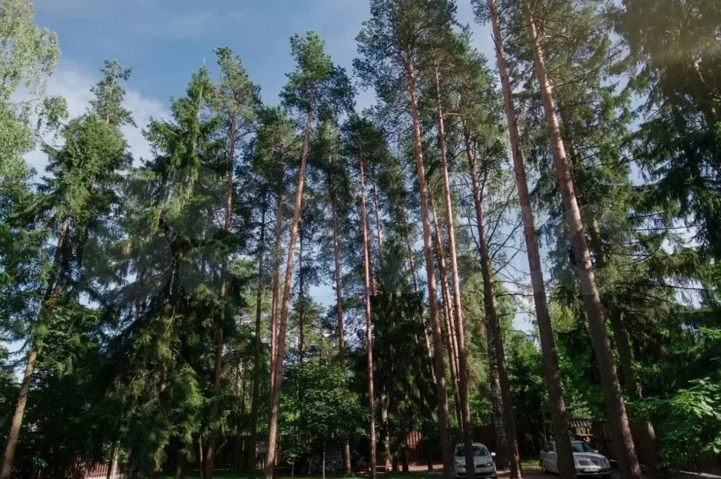 Участок 6,1 сот. (ИЖС) - Фото 1