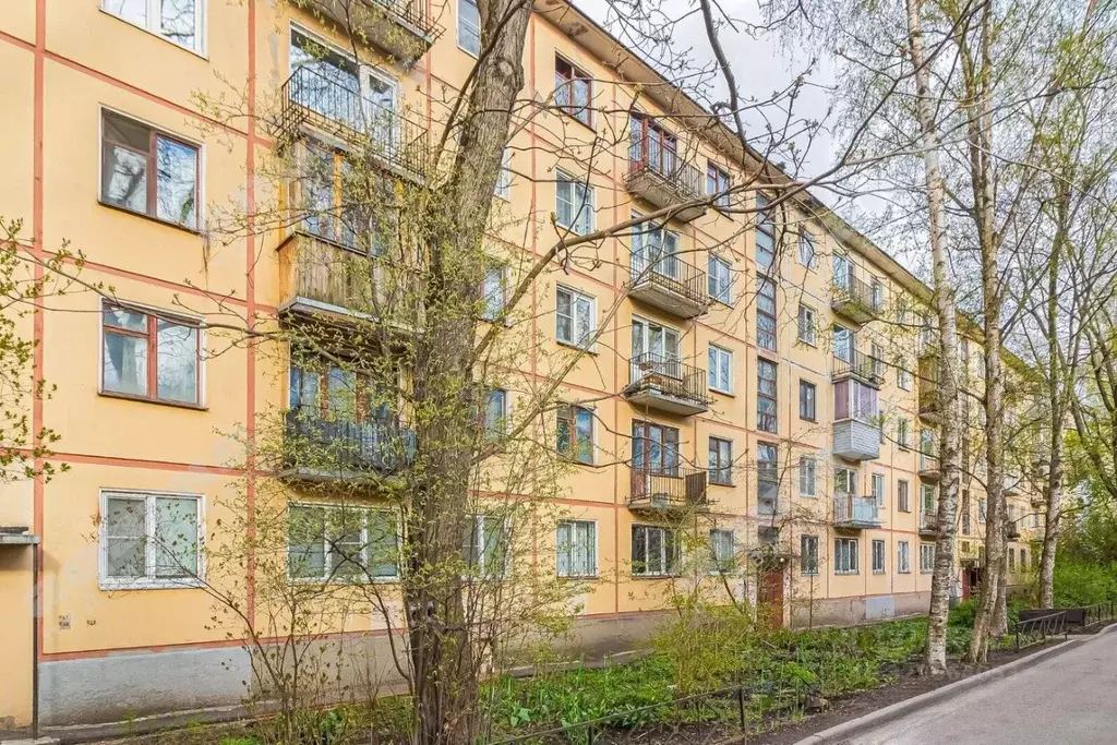 2-к кв. Санкт-Петербург просп. Шаумяна, 33 (45.6 м) - Фото 1