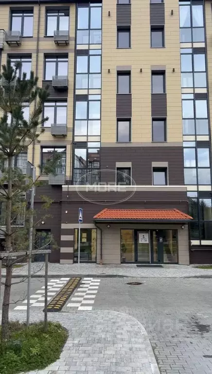 1-к кв. Калининградская область, Светлогорск Олимпийский бул., 2 (43.6 ... - Фото 1