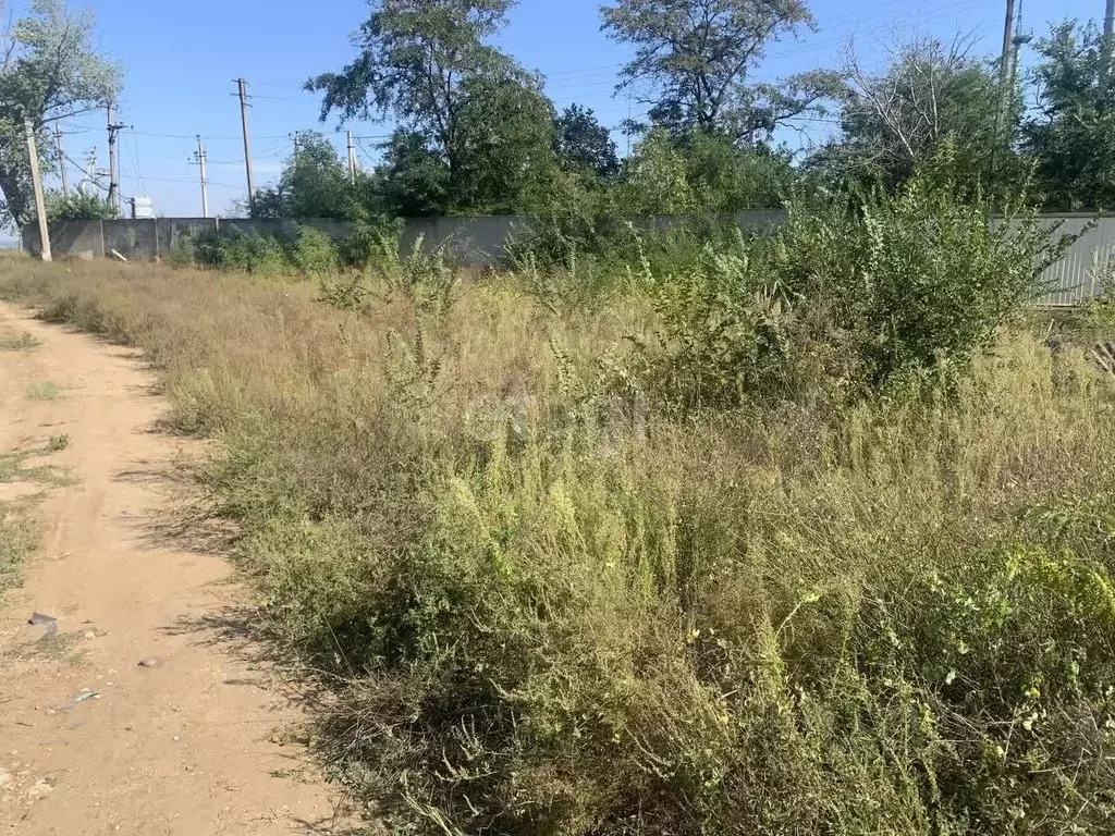 Участок в Краснодарский край, Анапа муниципальный округ, с. Витязево ... - Фото 2
