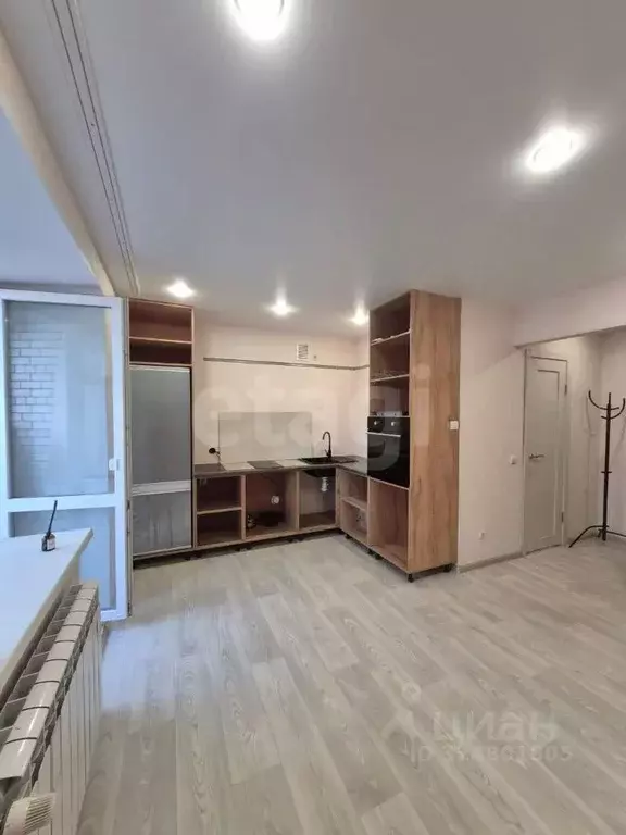 Студия Амурская область, Благовещенский район, с. Чигири ул. ... - Фото 1