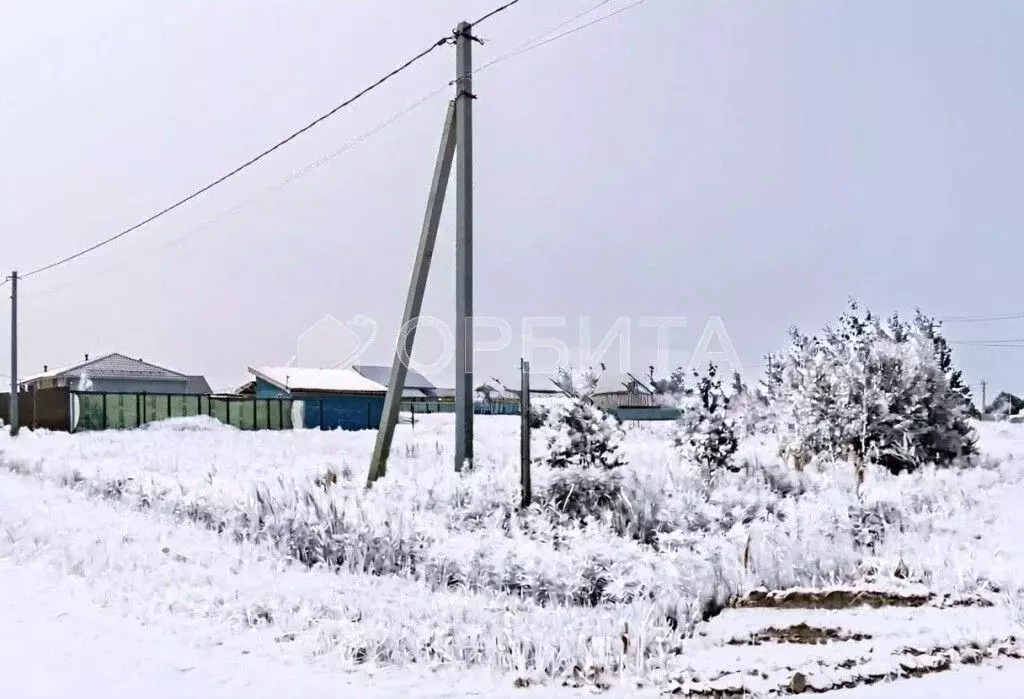 Участок в Тюменская область, Тюменский муниципальный округ, д. Якуши ... - Фото 2