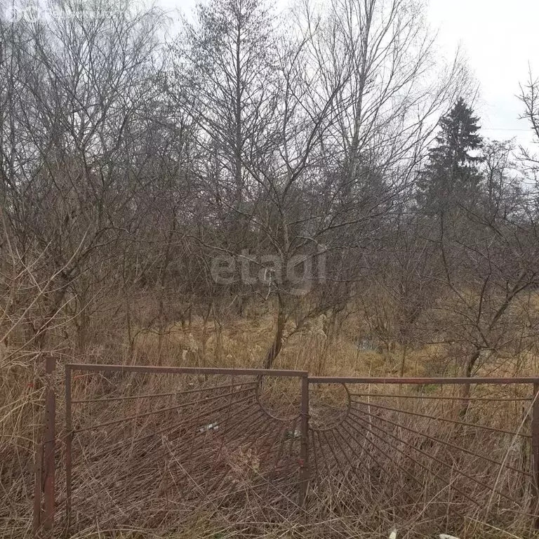 Участок в Калининград, СТ Победа, Большая Кольцевая улица (7.41 м) - Фото 0
