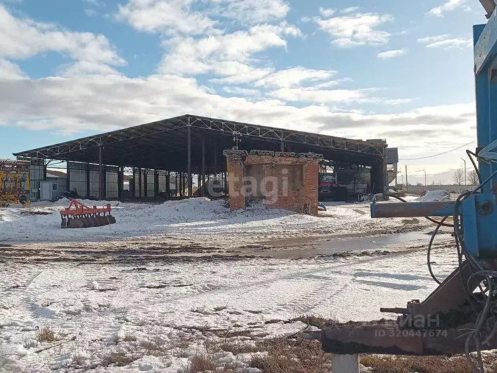 Склад в Белгородская область, Корочанский район, с. Мелихово ... - Фото 2