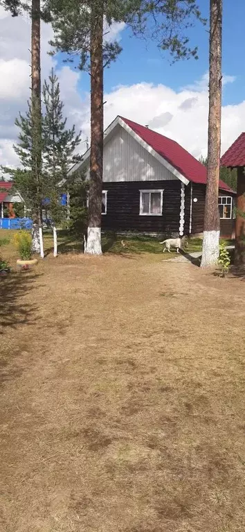 Дом в Коми, Сыктывкар городской округ, Седкыркещ пгт ул. Янтарная, ... - Фото 1