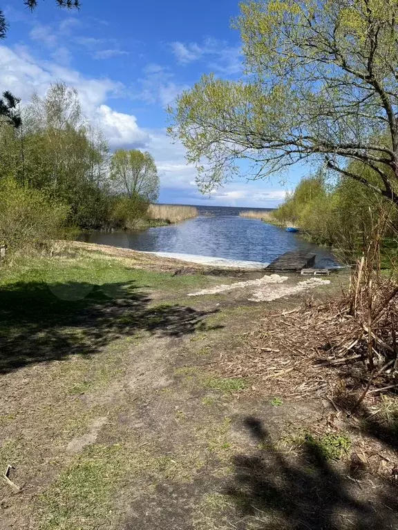 Дом 53 м на участке 10 сот. - Фото 1