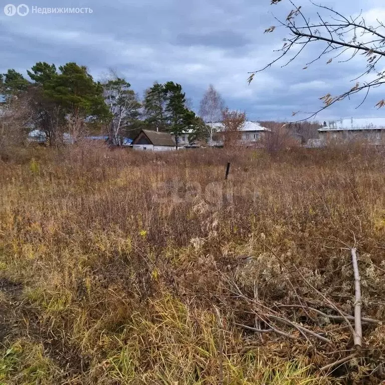 Участок в Кемеровский муниципальный округ, село Елыкаево (8.5 м) - Фото 0