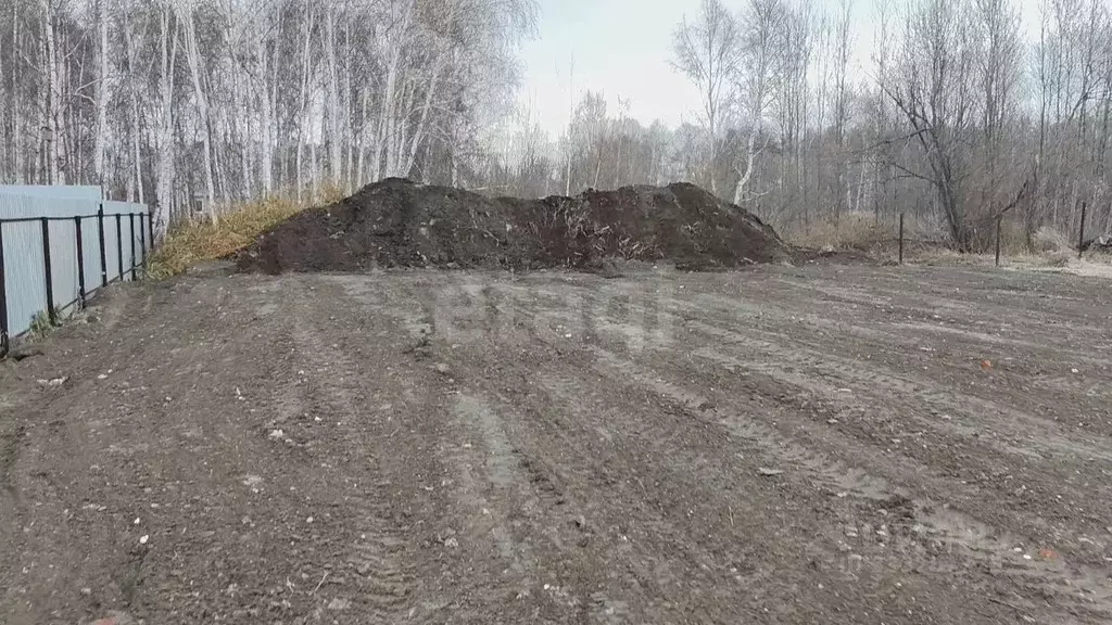 Участок в Тюменская область, Тюмень СОСН Лаванда тер., ул. 8-я (8.0 ... - Фото 1