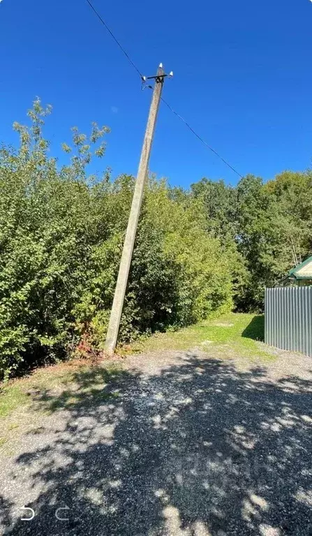 Участок в Пензенская область, Бессоновский район, Элита садоводческое ... - Фото 1