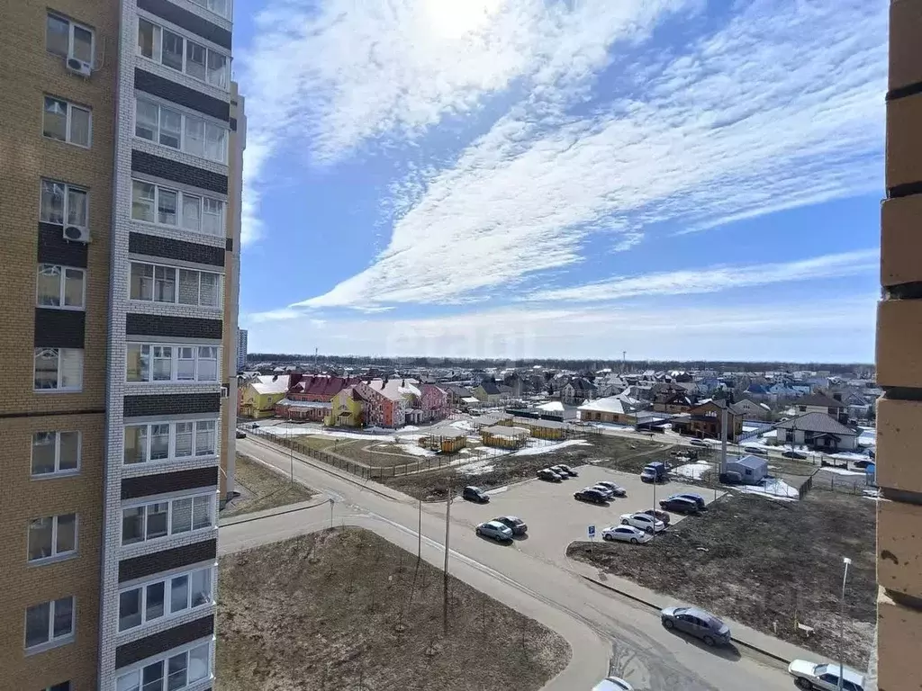 3-к кв. Тамбовская область, Тамбов Селезневская ул., 2Бк4 (87.9 м) - Фото 0