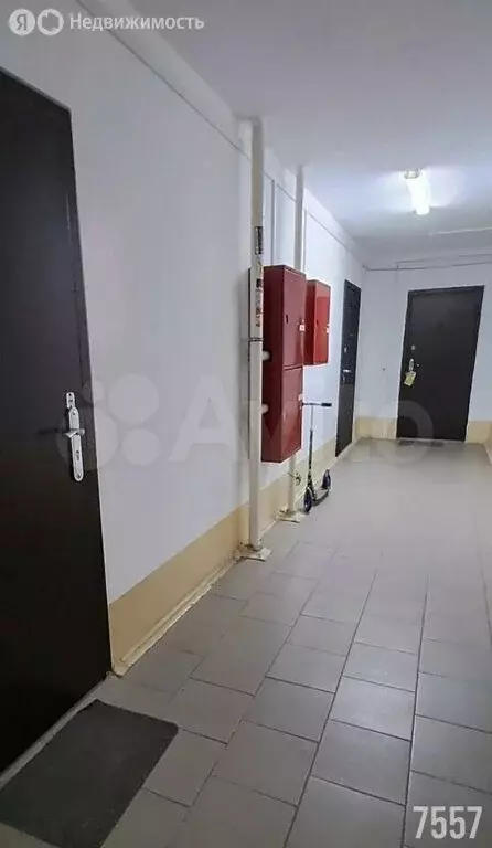 1-комнатная квартира: Ростов-на-Дону, улица Петренко, 6 (39.6 м) - Фото 0