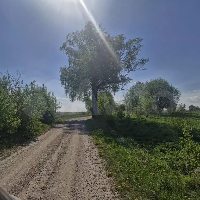 Участок 14,45 га (СНТ, ДНП) - Фото 0