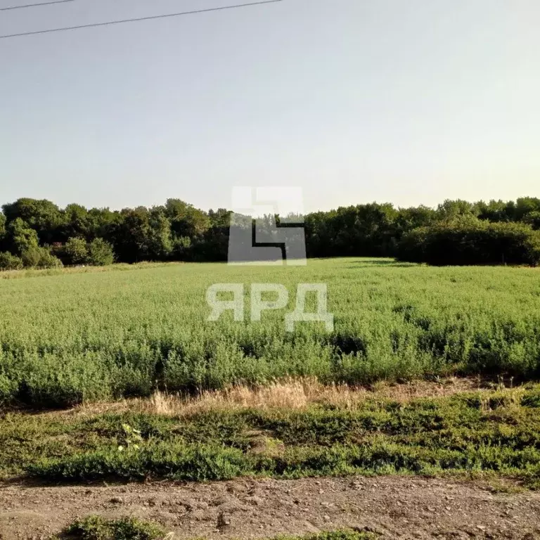 Участок в Ростовская область, Матвеево-Курганский район, с. Алексеевка ... - Фото 2