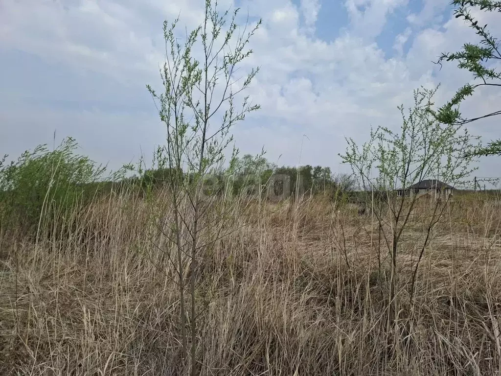 Участок в Хабаровский край, Хабаровск Дубки СТ, 31 (8.0 сот.) - Фото 1