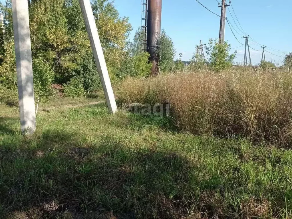 Участок в Алтайский край, Первомайский район, с. Санниково, Овощевод ... - Фото 0