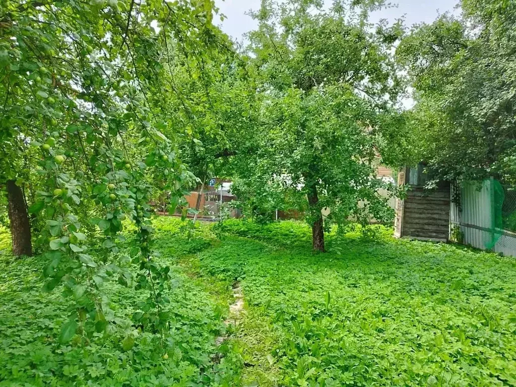 Участок в Москва д. Говорово, Заря СНТ, 6 (4.25 сот.) - Фото 2