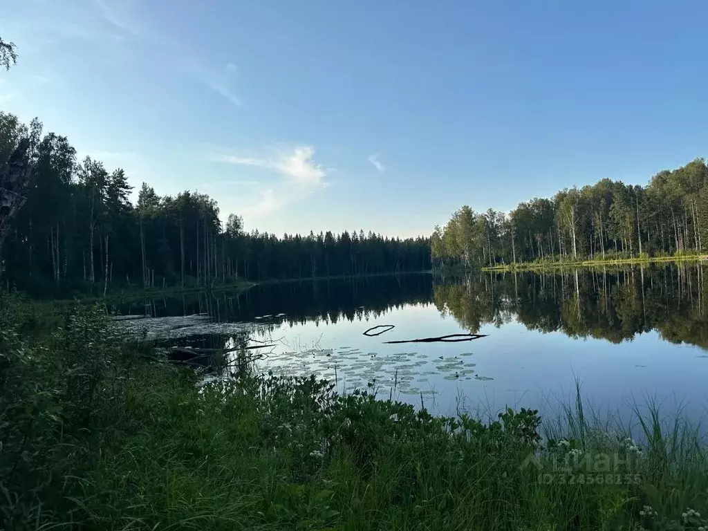 Участок в Ленинградская область, Всеволожский район, Токсовское ... - Фото 2