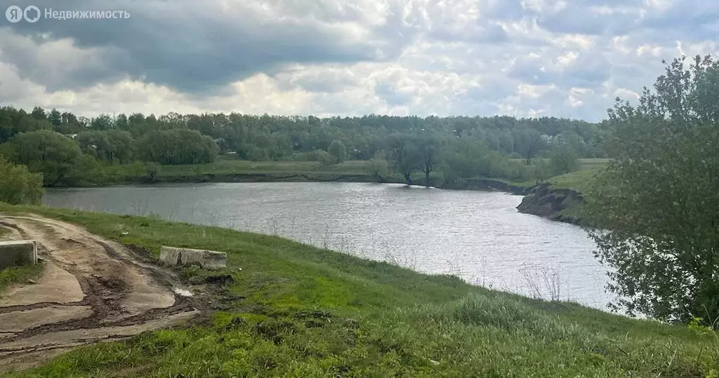 Участок в Московская область, Раменский муниципальный округ, село ... - Фото 1