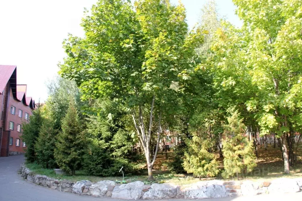 2-к кв. Московская область, Подольск городской округ, д. Плещеево ул. ... - Фото 1