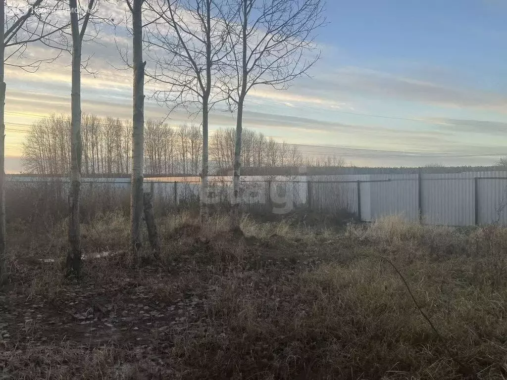 Дом в Тюменский муниципальный округ, село Каменка (50 м) - Фото 2