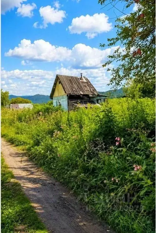 Участок в Иркутская область, Слюдянский район, Байкальское ... - Фото 1
