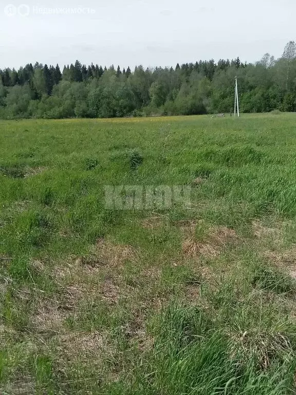 Участок в Вологодская область, Тотемский муниципальный округ, ... - Фото 1