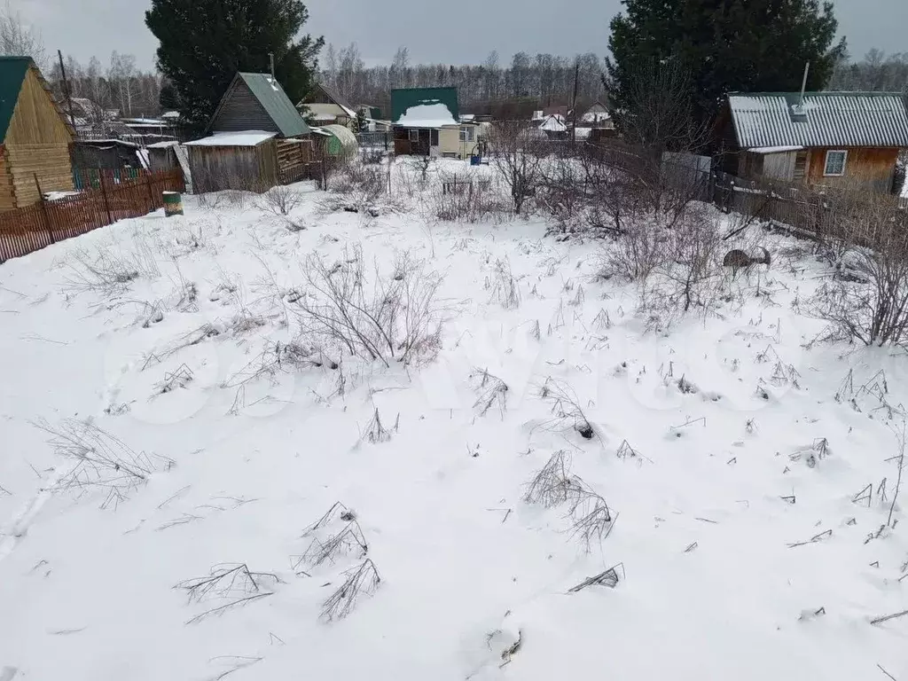 Участок 6 сот. (СНТ, ДНП) - Фото 0