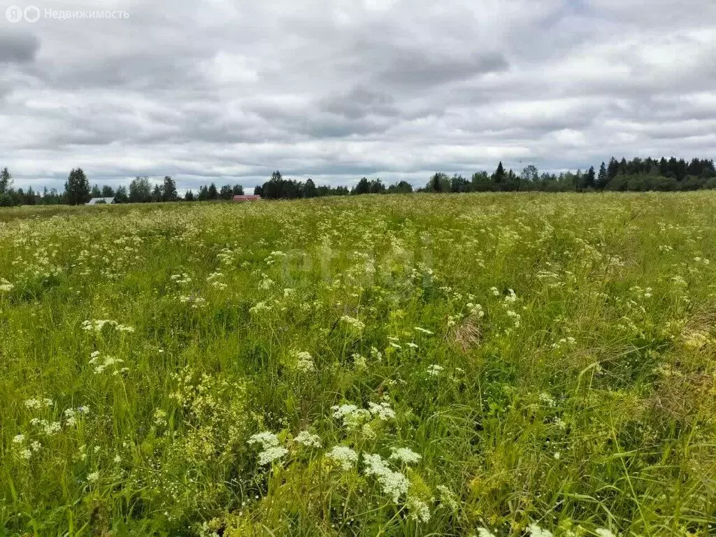 Участок в Вологодская область, Череповецкий муниципальный округ, село ... - Фото 1