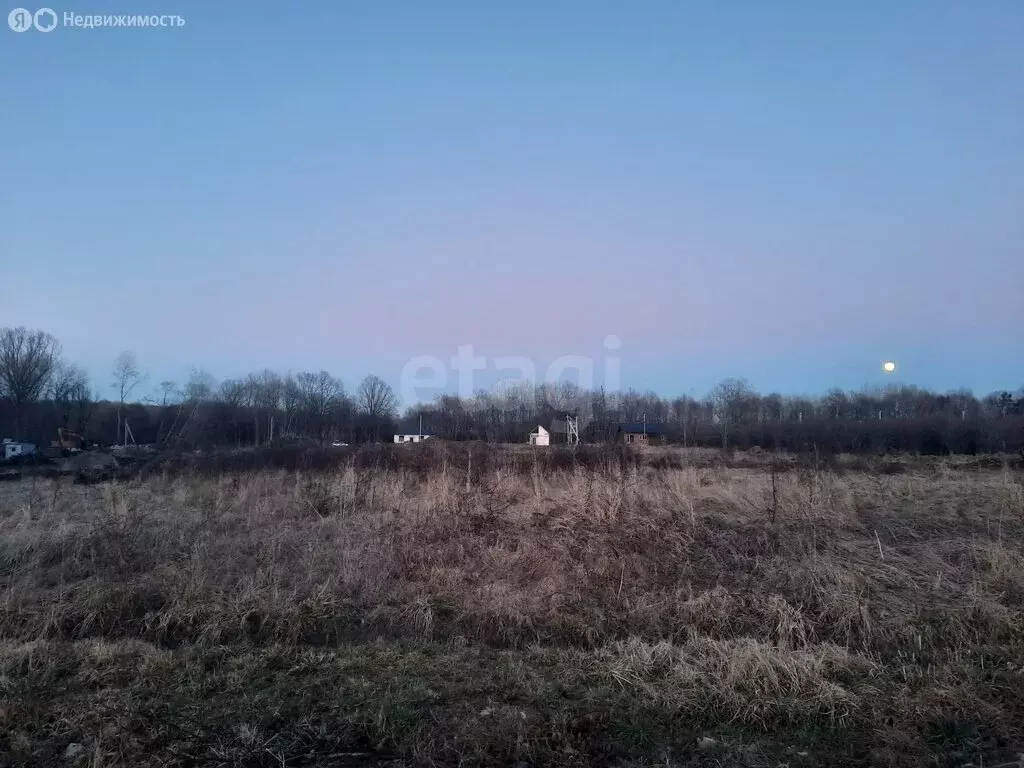 Участок в Калининградская область, Гурьевский муниципальный округ, ... - Фото 1