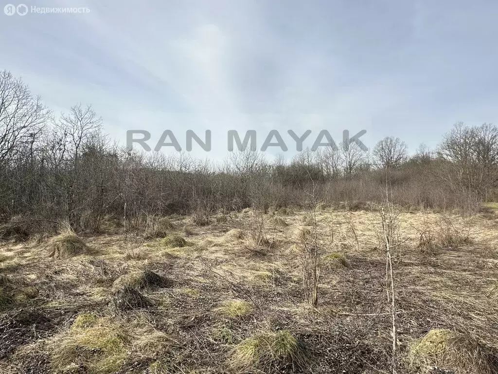 Участок в станица Курджипская, Подлесная улица, 26 (50 м) - Фото 1