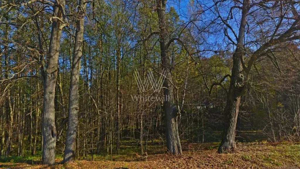 Участок в Москва Вороновское поселение,  (500.0 сот.) - Фото 2