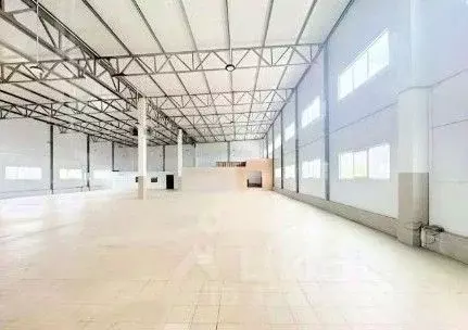 Склад в Ленинградская область, Отрадное Кировский район, Ленинградское ... - Фото 2